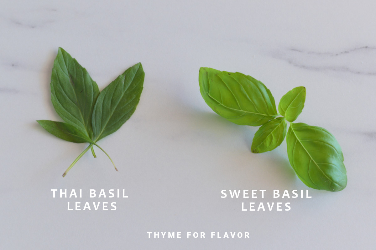 Thai basil leaves and sweet basil leaves on a marble benchtop.
