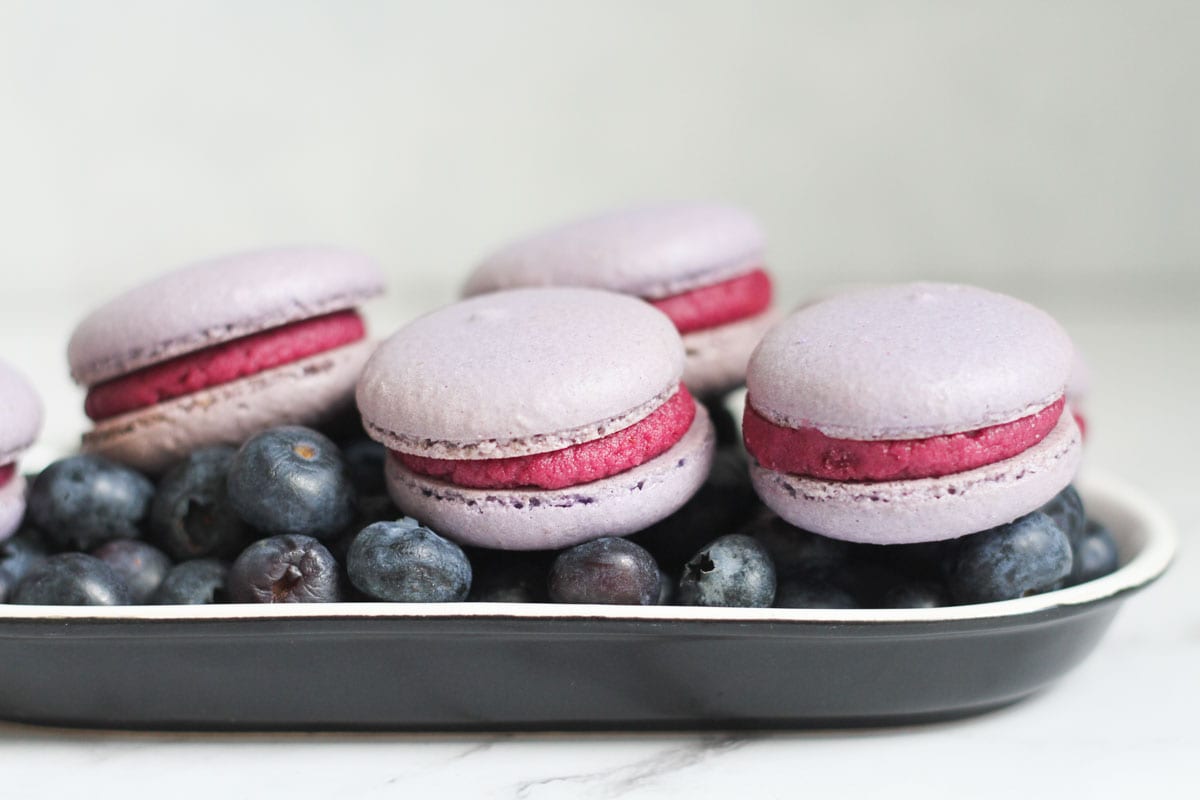 Blueberry macarons on fresh blueberries in a shallow plate.