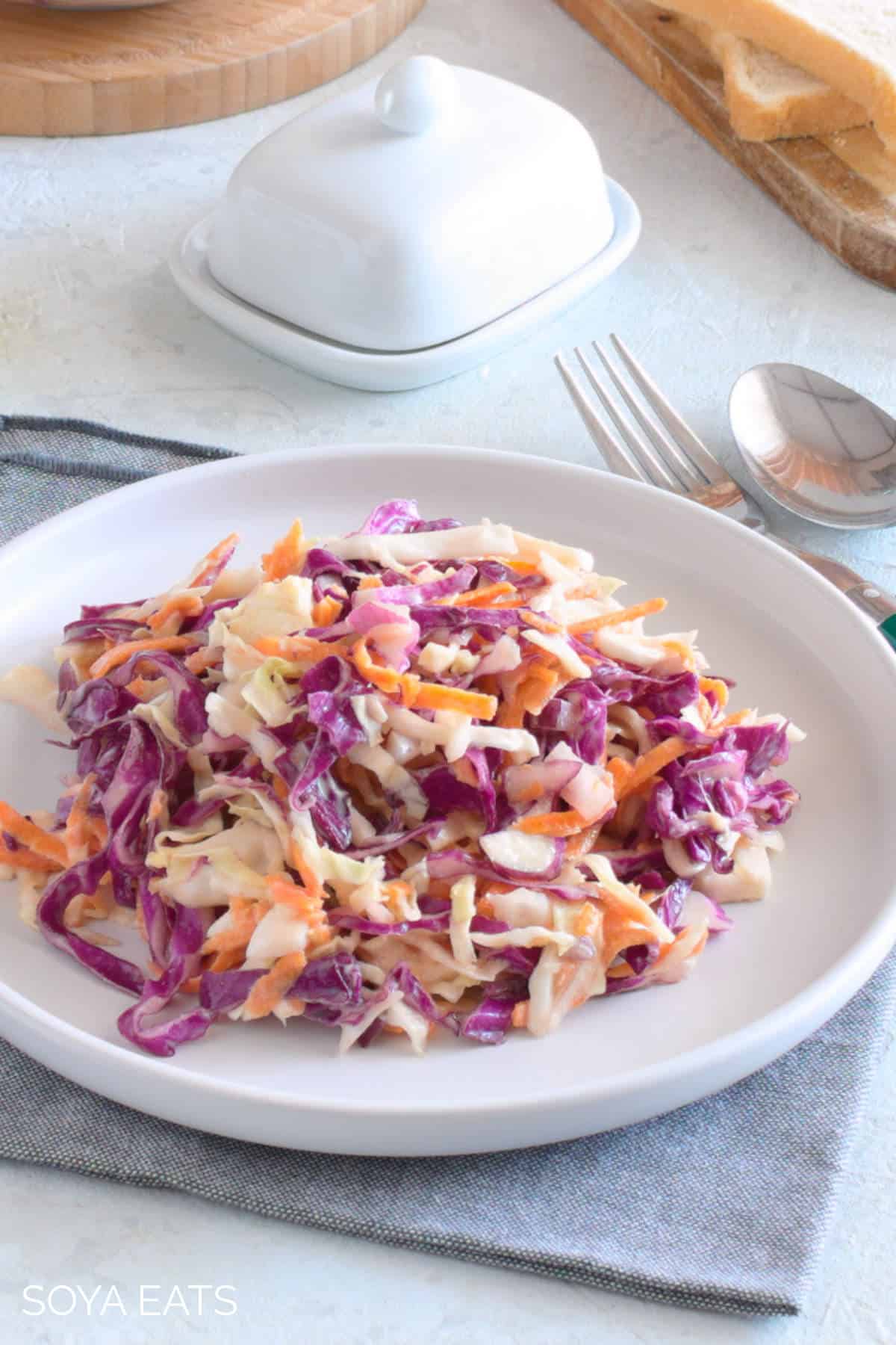 Coleslaw on a wide white plate.