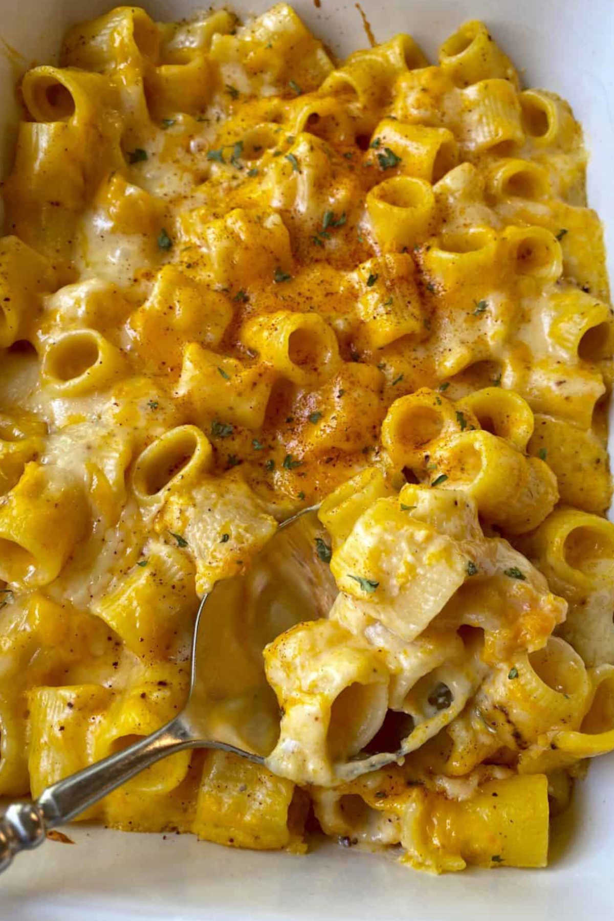 Close up image of mac and cheese with a spoon.